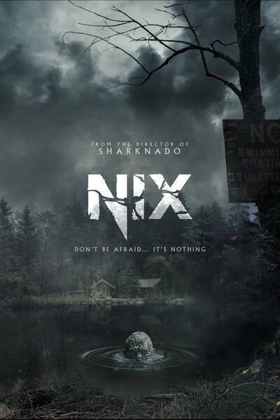 Nix Hindi Dubbed Movie Poster (2022)