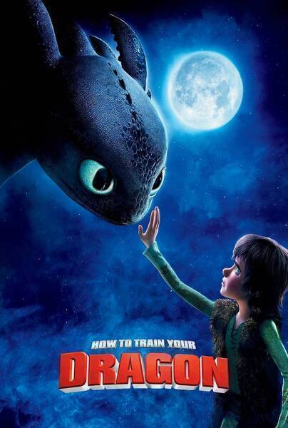 How to Train Your Dragon Hindi Dubbed Movie Poster (2010)