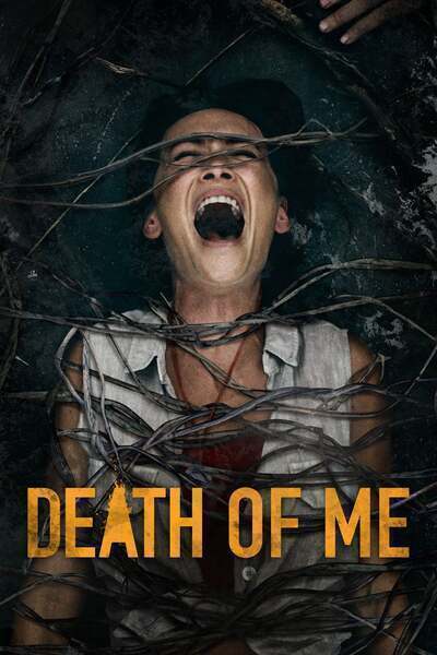 Death of Me Hindi Dubbed Movie Poster (2020)