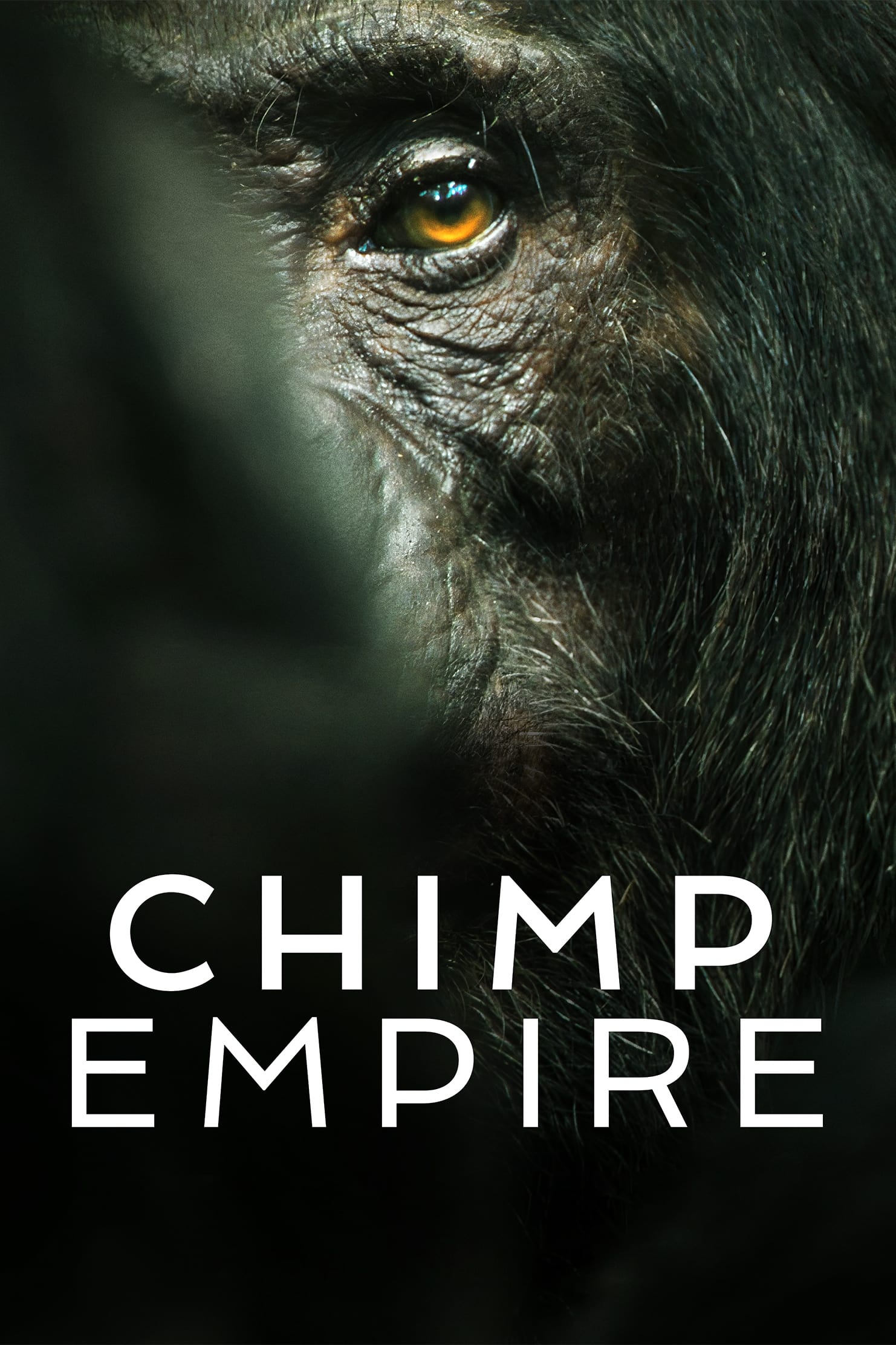 Chimp Empire Hindi Dubbed Movie Poster (2023)