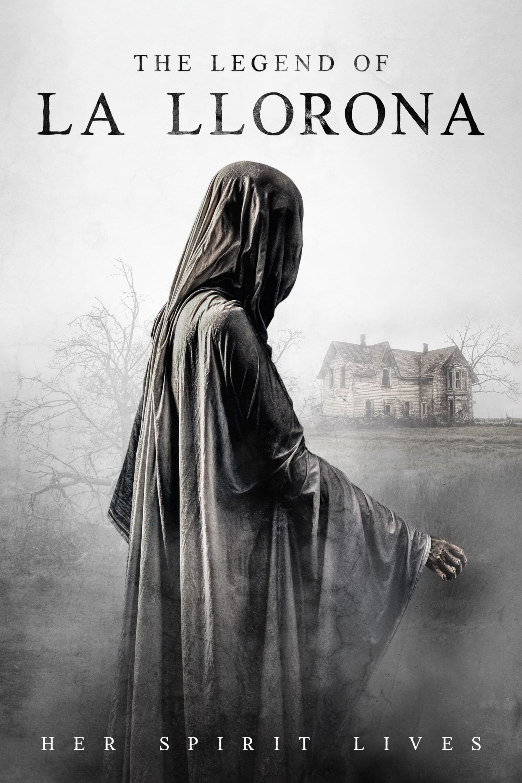 The Legend of La Llorona Hindi Dubbed Movie Poster (2022)
