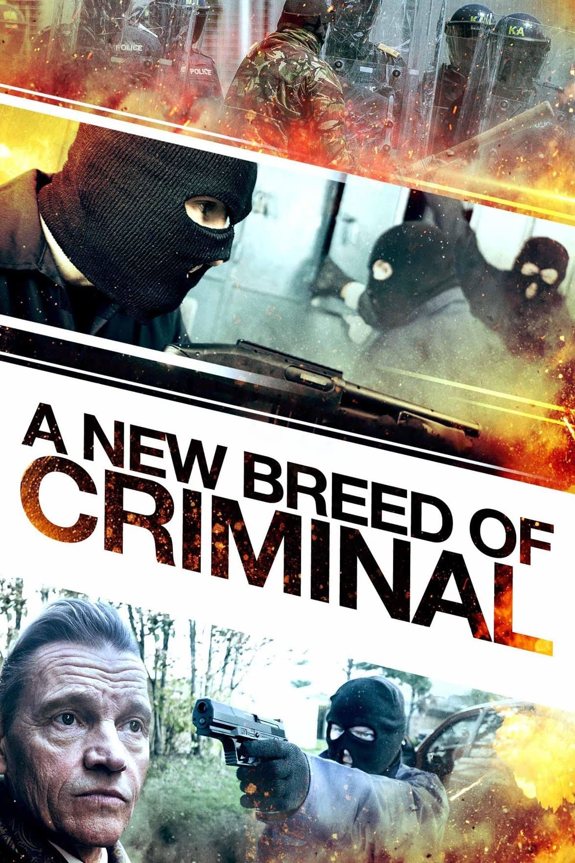 A New Breed of Criminal Hindi Dubbed Movie Poster (2023)