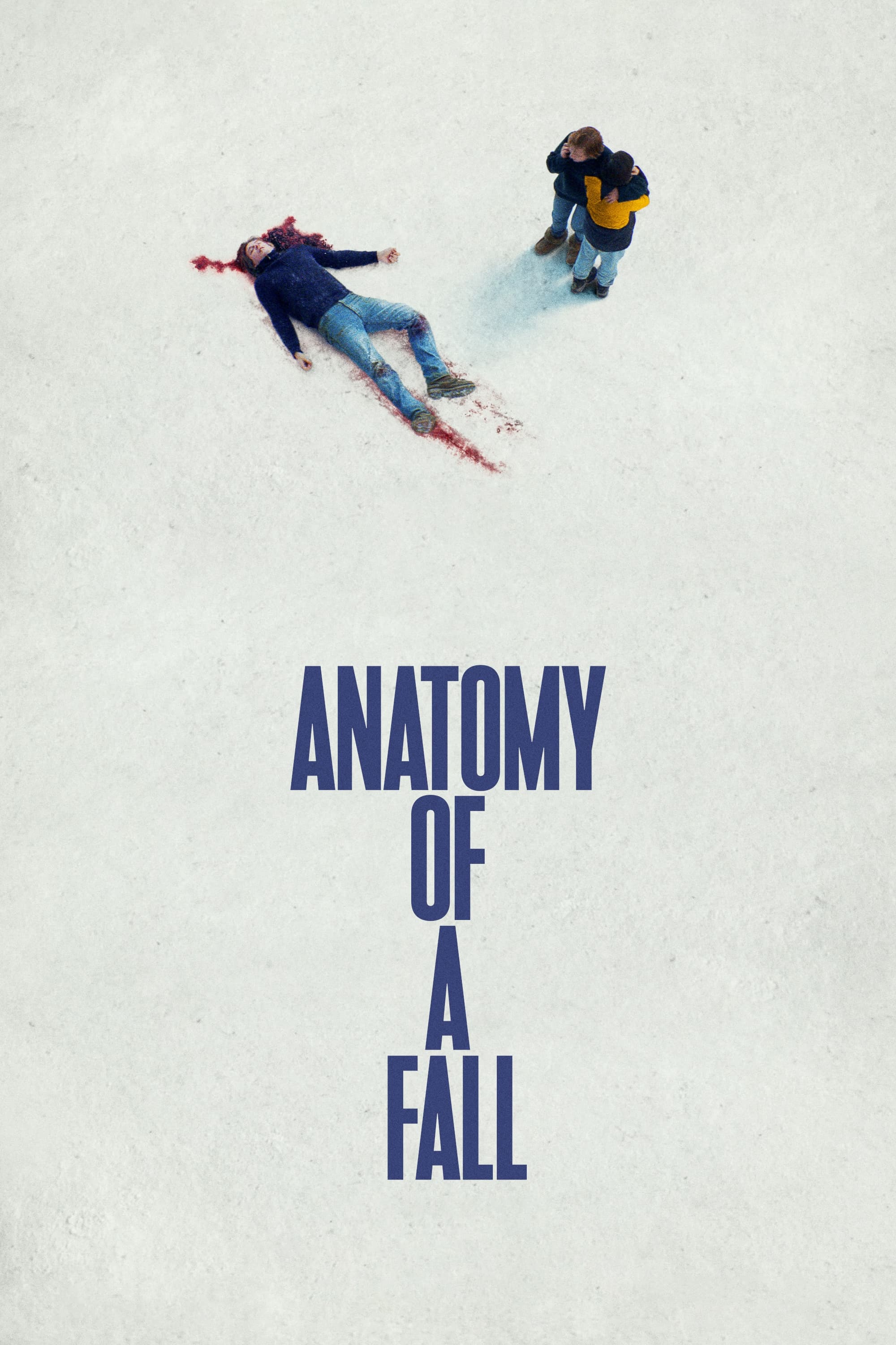 Anatomy of a Fall Hindi Dubbed Movie Poster (2023)